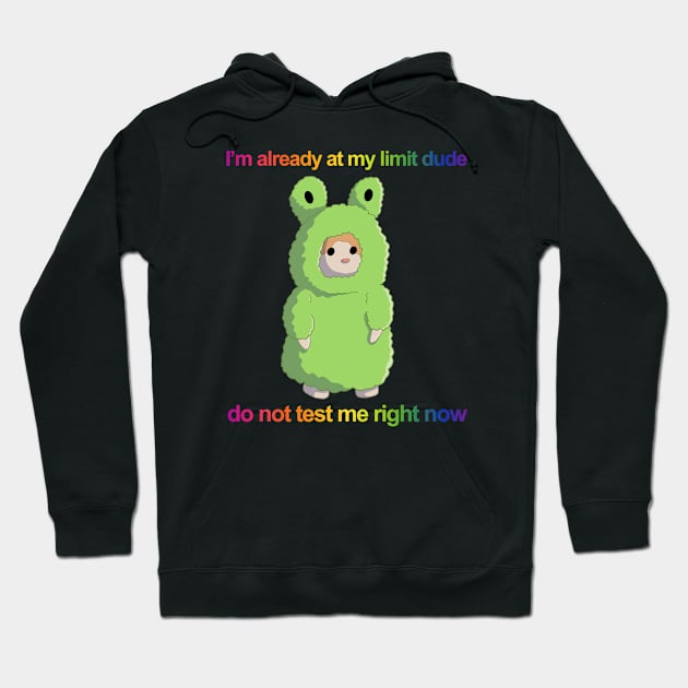 I'm already at my limit plushie Hoodie by annoyingarts